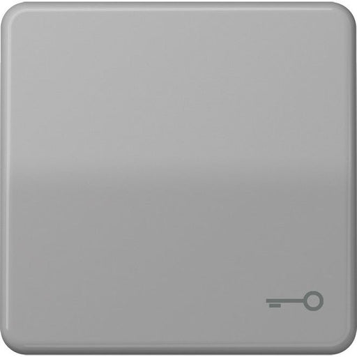 Jung - Abdeckung/Bedienelement für Installationsschalterprogramme Wippe Symbol TÜR gr CD 590 T GR für Taster