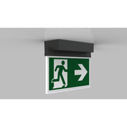 RP-Technik - Sicherheitsleuchte LED-Rettungszeichenleuchte AMD009ML-AZ ZB + ML, anthrazit
