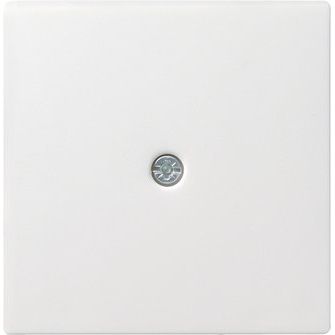 Gira - Einsatz/Abdeckung für Kommunikationstechnik Zentralpl.Schnurabl. rws 027427 System55