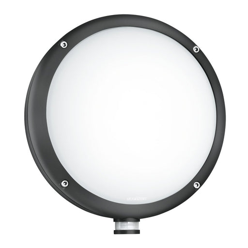 Steinel - Decken-/Wandleuchte Sensor-LED-Außenleuchte L 330 S ANT 3000K 109 x 253 x 270 mm