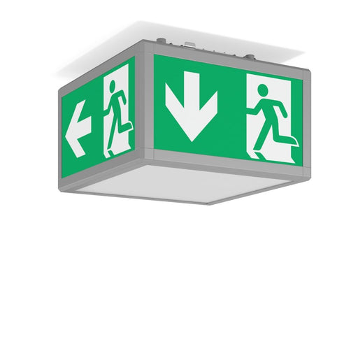 RZB - Sicherheitsleuchte LED-Deckenleuchte 672354.004 6500K, alu