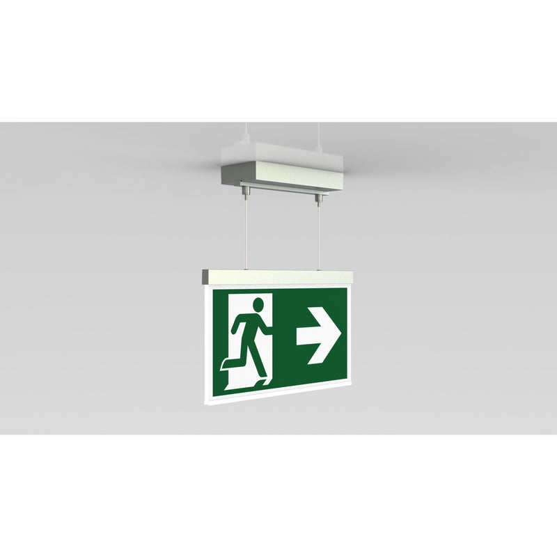RP-Technik - Sicherheitsleuchte LED-Rettungszeichenleuchte AGDC009-E ZB, Edelstahloptik