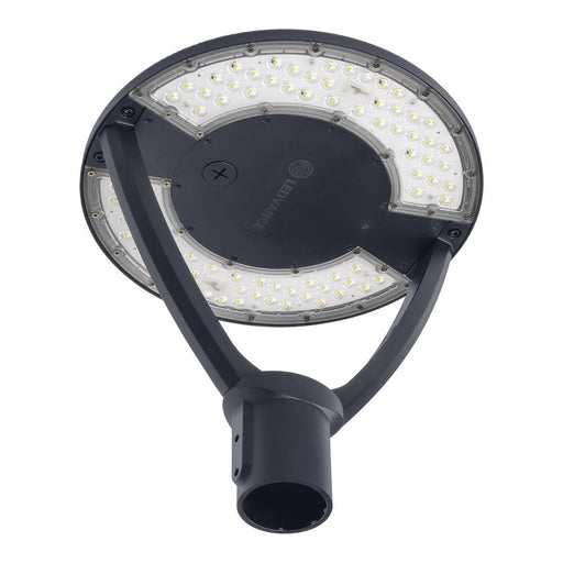 Ledvance - Straßen- und Platzleuchte LED-Mastaufsatzleuchte URBLTRNV59WASYM...GY 830-840, asym., grau