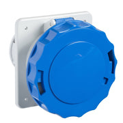 Schneider Electric - CEE-Anbausteckdose (IEC 60309) Industriesteckdose 81679 gerade, 63A, 3p+E − 1 Stück