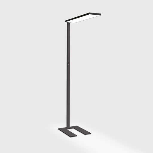 Lightnet - Stehleuchte LED-Stehleuchte CF1ABM-835H-L900-U-A 3500K, schwarz