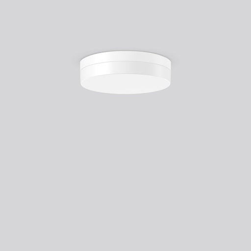RZB - Sicherheitsleuchte LED-Wand-u.Deckenleuchte 672655.002.1.87 830/840 ZB AC-C.DALI