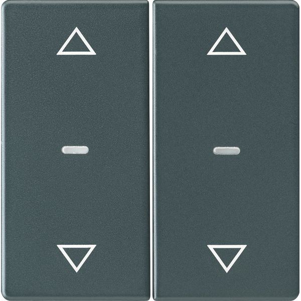 Berker - Abdeckung/Bedienelement für Installationsschalterprogramme Abdeckung Tastsensor-Modul 80961326 2-fach anthrazit