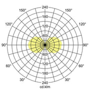 Brumberg Leuchten - Wegeleuchte LED-Pollerleuchte 65202103 m. 2 Steckdosen