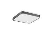RZB - Decken-/Wandleuchte LED-Wand-u. Deckenleuchte 312437.0031.730 830, s+f, anthr