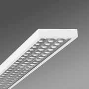 Regiolux - Decken-/Wandleuchte LED-Anbauleuchte aduna-A #62154016660 940 DALI