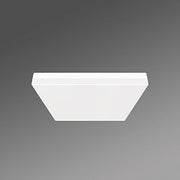 Regiolux - Decken-/Wandleuchte LED Wand-u. Anbauleuchte turas- #21908424180 3000K