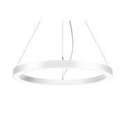 Brumberg Leuchten - Pendelleuchte LED-Pendel-Ringleuchte 13831174 DALI DT6 D75cm H5cm