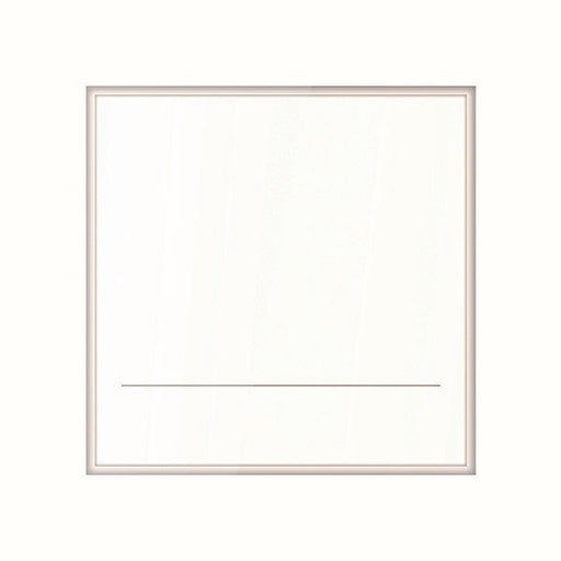 TCS Tür Control - Zusatzgerät für Türkommunikation Namensfeldmodul E38168 SeriePES PRO 90x90mm
