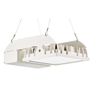 Pracht - Hallen-Reflektorleuchte LED-Hallenstrahler QUADRONIUS #86280221 IND DALI 4000K SK I