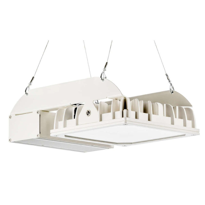 Pracht - Hallen-Reflektorleuchte LED-Hallenstrahler QUADRONIUS #86280221 IND DALI 4000K SK I