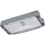 Ceag Notlichtsysteme - Sicherheitsleuchte AtlanticLEDLTRHBCG-S