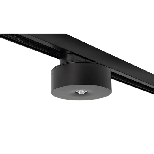 RP-Technik - Sicherheitsleuchte ILDL423SC-SW-3P EB 3h, sw