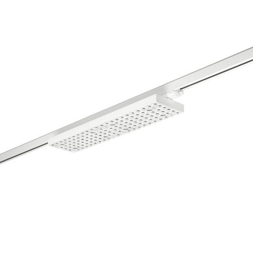 Brumberg Leuchten - Downlight/Strahler/Flutlicht LED-Schienenstrahler 44030173DA 3000K, DALI
