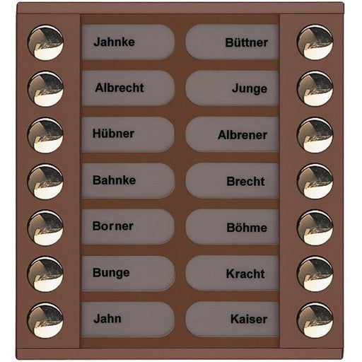 TCS Tür Control - Montageelement für Türstation Audioaußenstation 2-reihig PET14-EB/04 Erw.14 Tasten bronze