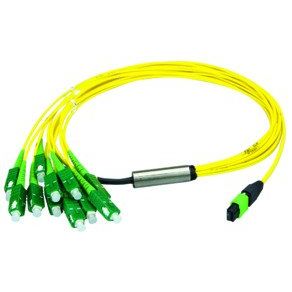 Telegärtner - Patchkabel LWL MPO/MTP Aufteilkabel gb 3m 100011007 MPO APC OS2 12LC SM