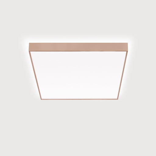 Lightnet - Decken-/Wandleuchte LED-Anbauleuchte CX2OEE-830M-Q530 3000K, silber