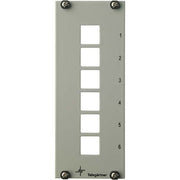 Telegärtner - Moduleinsatz für Patchpanel LWL Teilfrontplatte 3HE/7TE 100021456 elox.,f.6xSC,STSC,MT