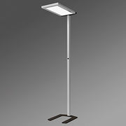 Regiolux - Stehleuchte LED-Stehleuchte visula- #43711308211 840, DALI