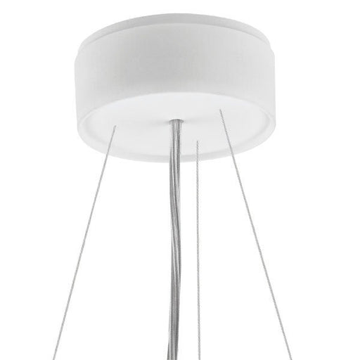 LTS Licht&Leuchten - Mechanisches Zubehör/Ersatzteile für Leuchten Drahtseilabhängung L 73/3000 DIM ws 3m 5-adrig