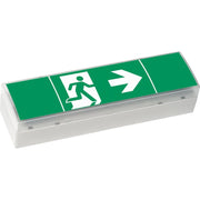Ceag Notlichtsysteme - Sicherheitsleuchte LED-Einzelbatterie-Leuchte SV EURO4 LED 3h(SET) m.Prüftaster