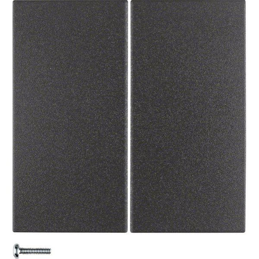 Berker - Bussystem-Tastwippe KNX-Funk Taste 2fach 85146185 anthrazit matt