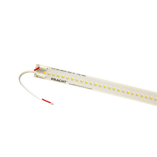 Pracht - Lichttechnisches Zubehör/Ersatzteile für Leuchten Austauschset LED-Modul LED-ModulONE#5552309