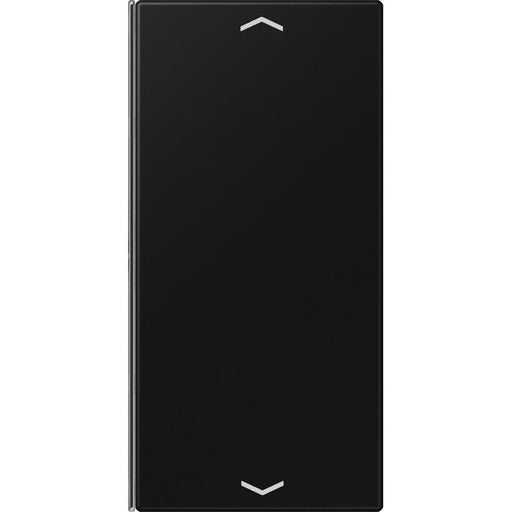 Jung - Abdeckung/Bedienelement für Installationsschalterprogramme Taste 2-fach LS 402 TSAP SWM graphitschwarz matt