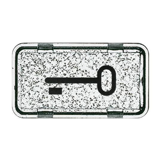 Busch-Jaeger - Bezeichnungsmaterial für Installationsschalterprogramme Tastersymbol 2622 TR-101 Schlüssel