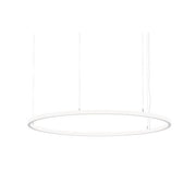Brumberg Leuchten - Pendelleuchte LED-Pendel-Ringleuchte 84112173MT 3000K, Matter