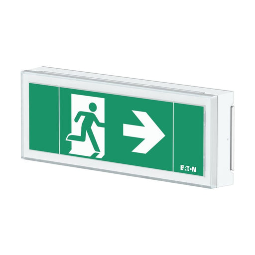 Ceag Notlichtsysteme - Sicherheitsleuchte LED-Rettungszeichenleuchte FT1EW4ICGL18 1-8h, Piktos, Wand