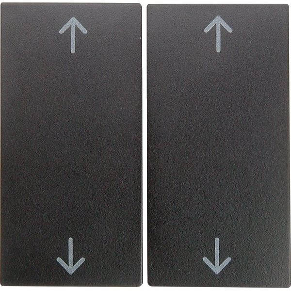 Berker - Abdeckung/Bedienelement für Installationsschalterprogramme Wippe anth matt 16441606 Symbol Pfeile