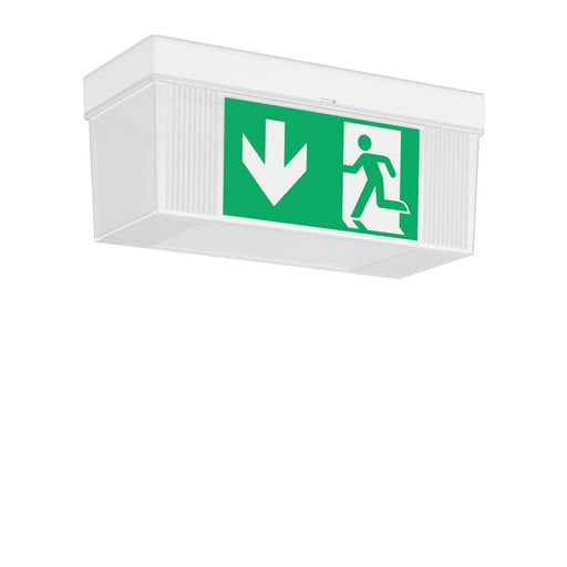 RZB - Sicherheitsleuchte LED-Rettungszeichenleuchte 671820.002.2.89 ZB, ws