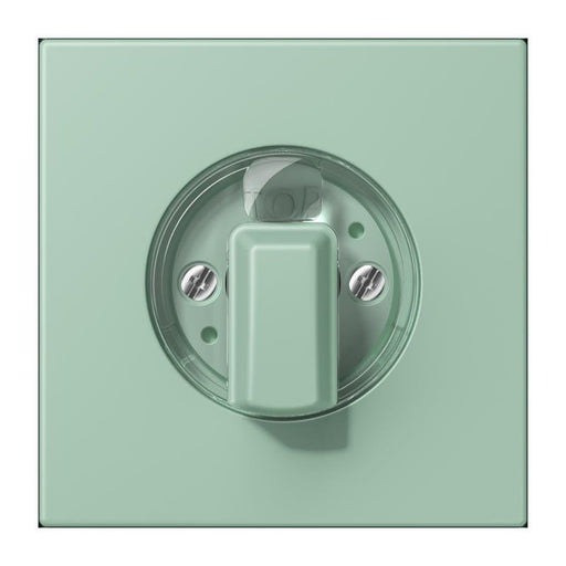 Jung - Abdeckung/Bedienelement für Installationsschalterprogramme Abdeckung für Drehschalter LC 1941 217 vert anglais clair